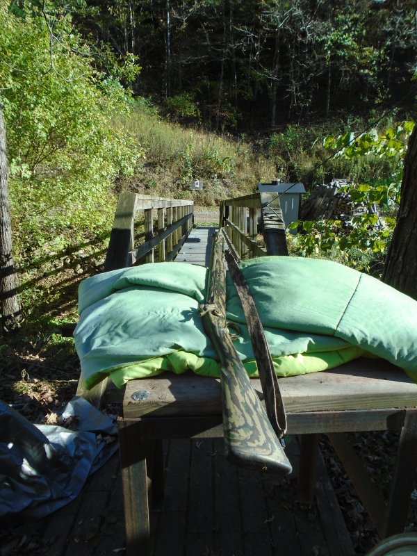 WANTED - T/C Treehawk | The Muzzleloading Forum