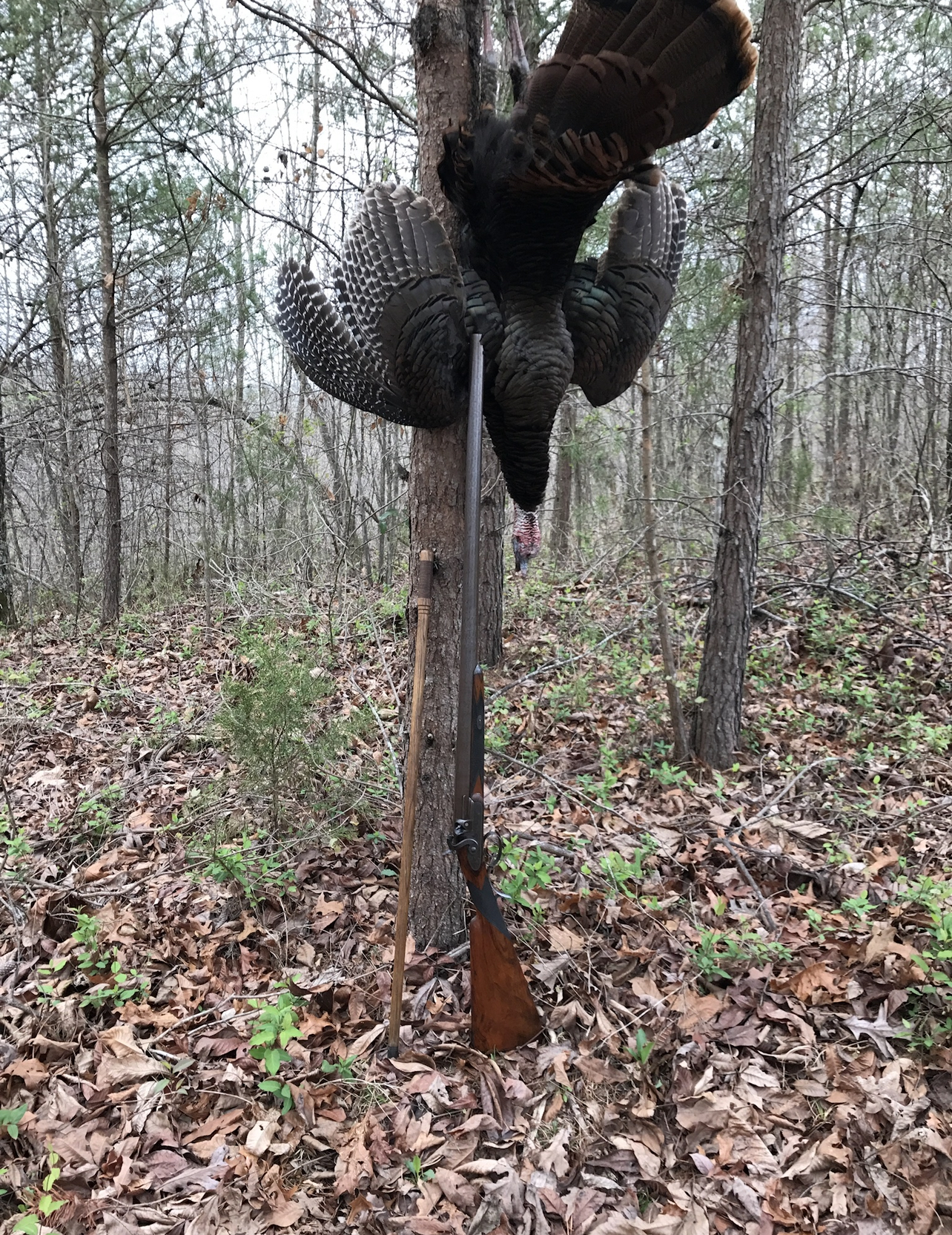 Turkey Loading What’s your best Turkey load in your smoothie | The Muzzleloading Forum