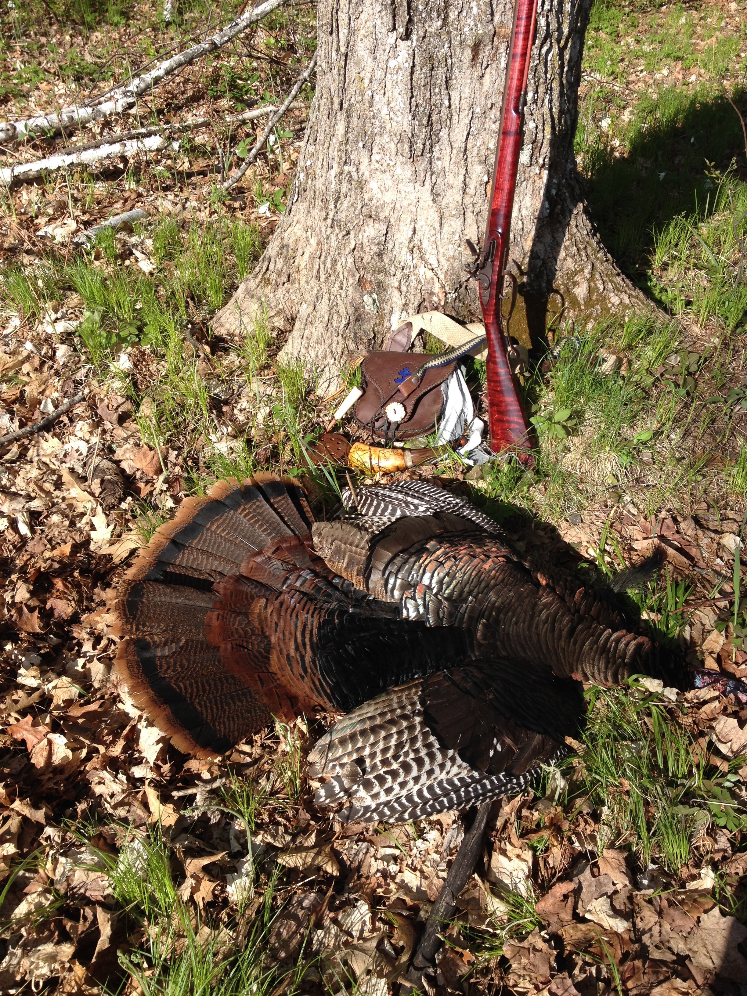 What is the reasonable distance to quickly kill a turkey with a ...