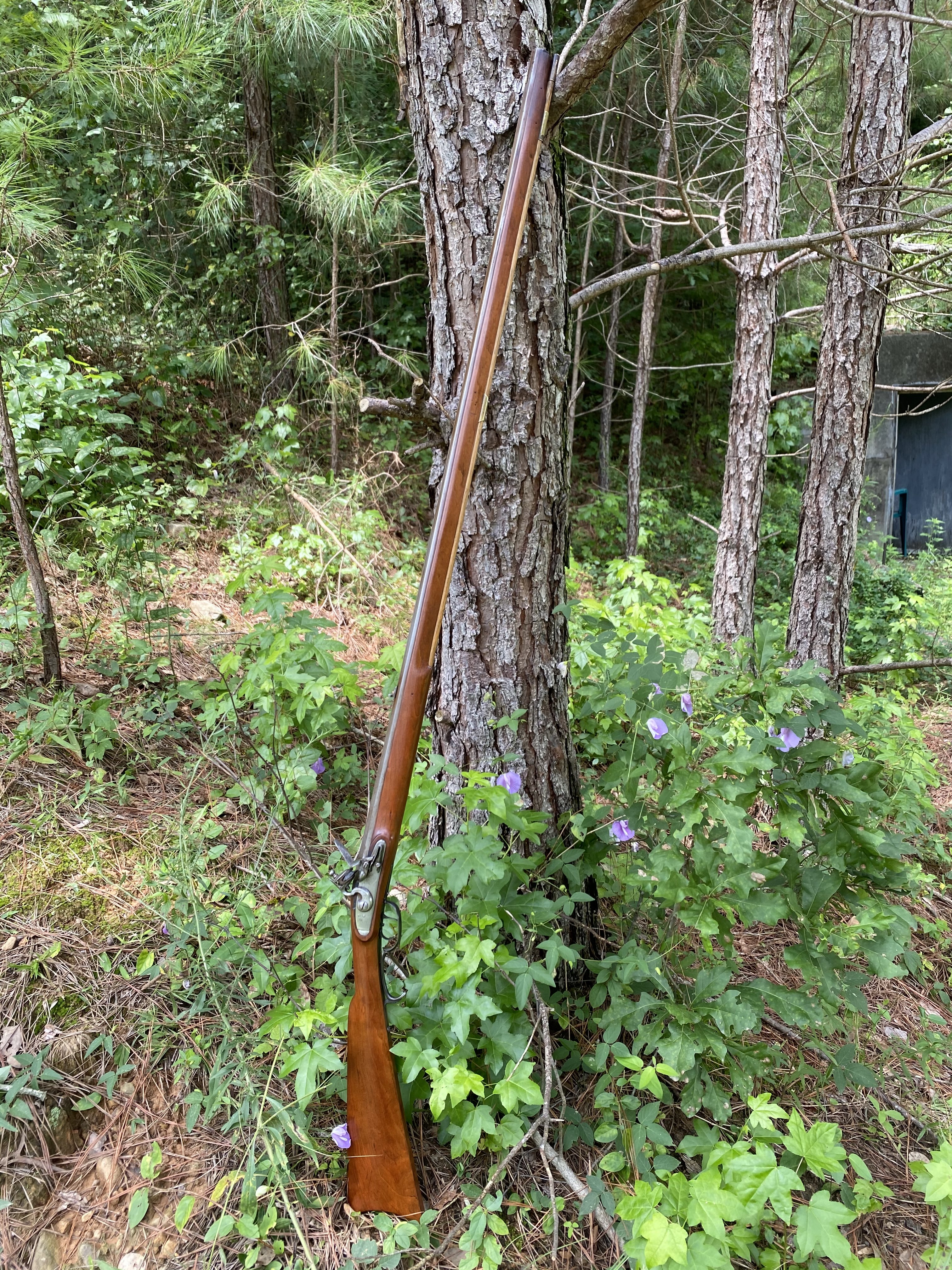 Woodsrunner barrel coloring | The Muzzleloading Forum