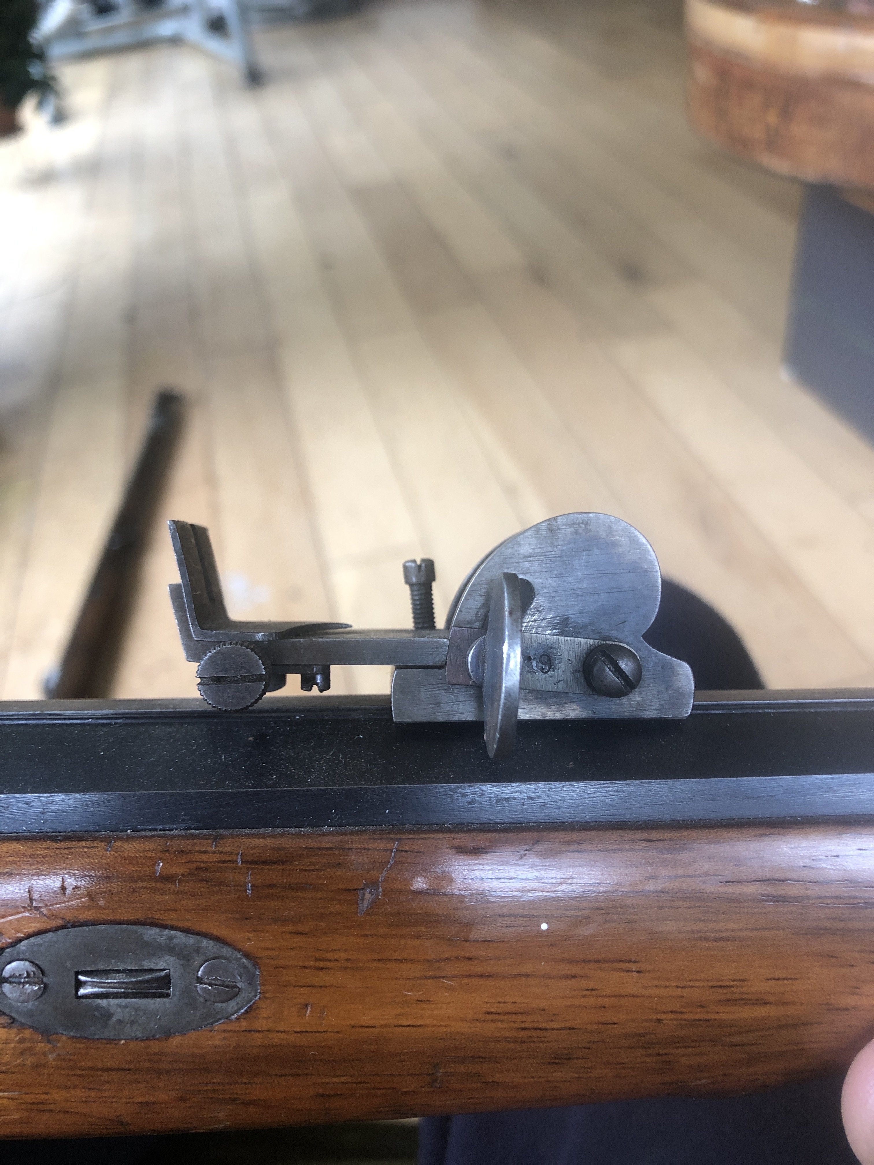 First successful muzzleloader hunt | The Muzzleloading Forum