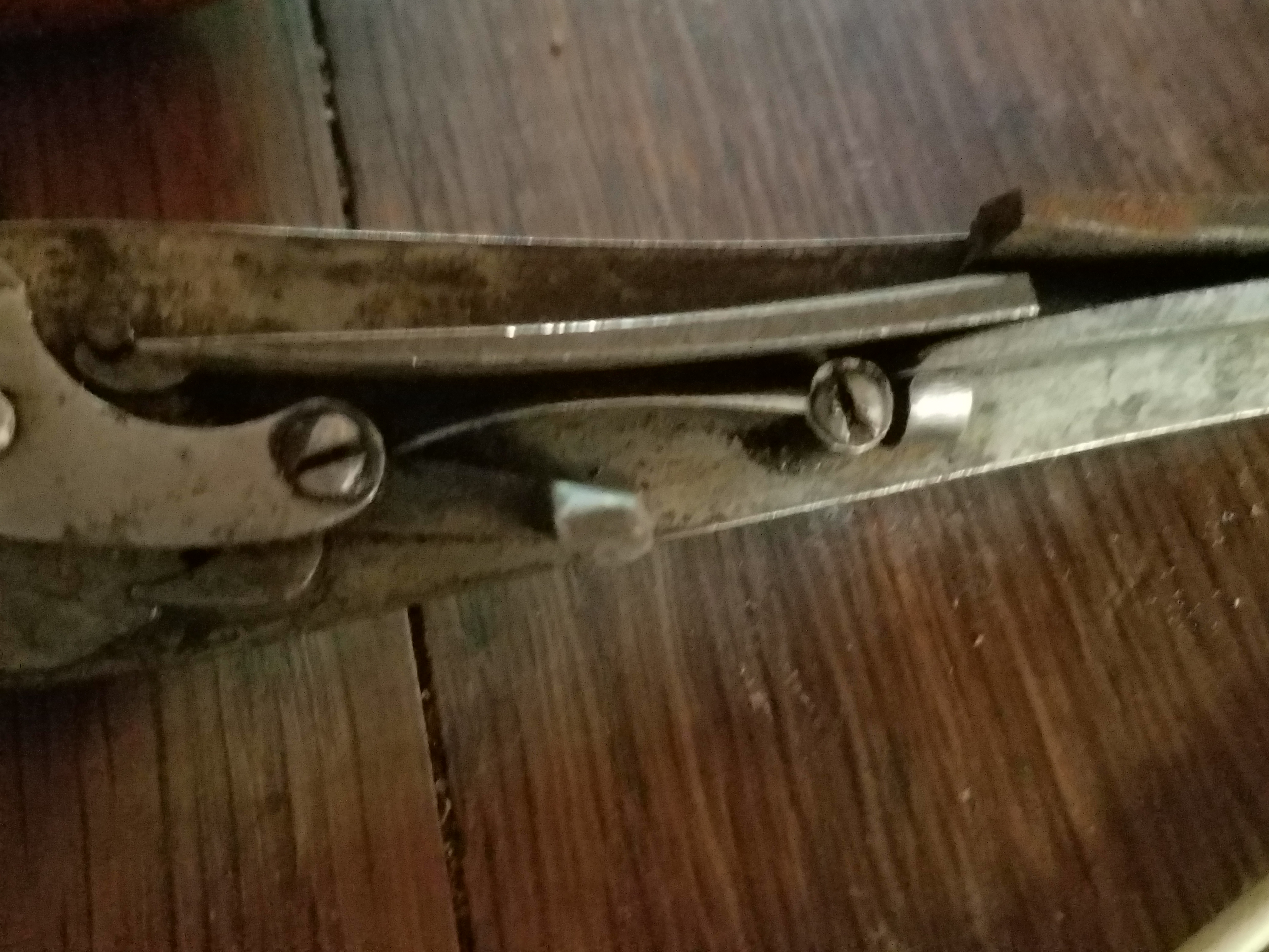 Back Action Lock | The Muzzleloading Forum