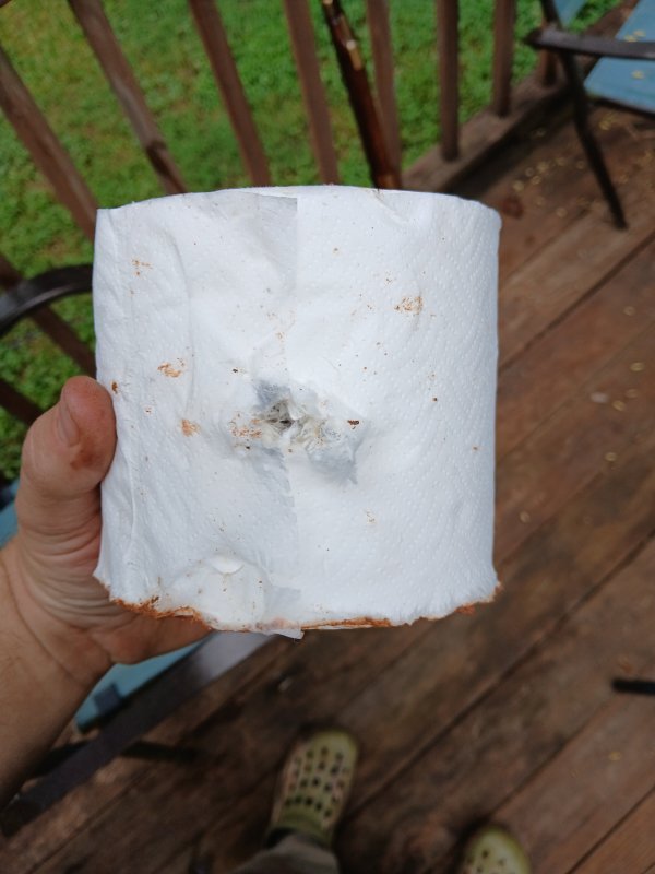 Testing the capabilities of the .32 rifle | The Muzzleloading Forum